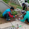 Sejasa.com