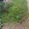 Thumb img 20230104 140255894