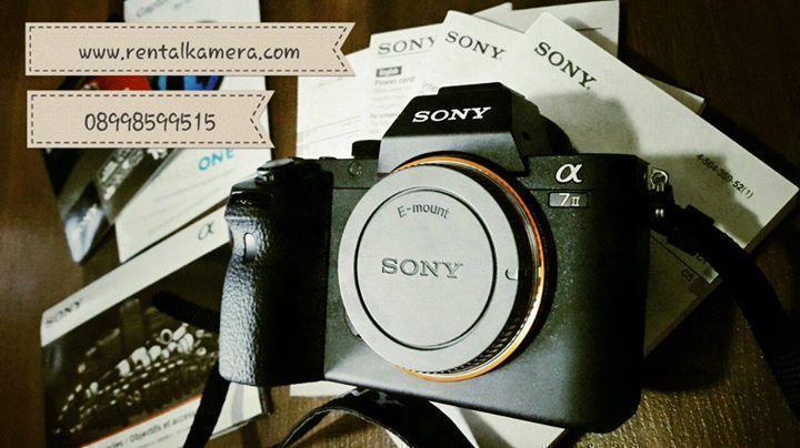 10926272 828020243937225 8141760656789429151 o