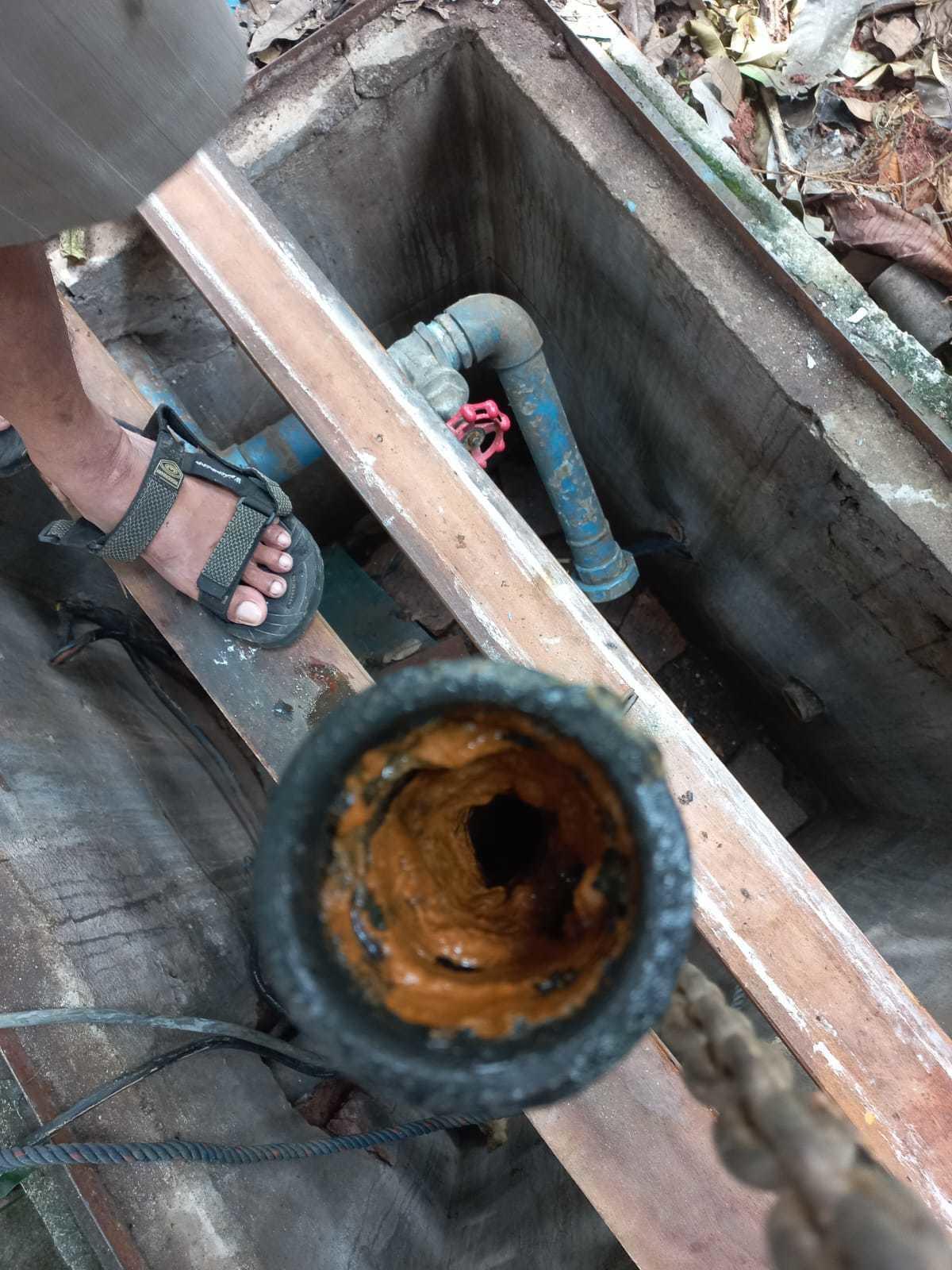 Whatsapp image 2022 11 09 at 12.45.54