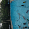 Sejasa.com