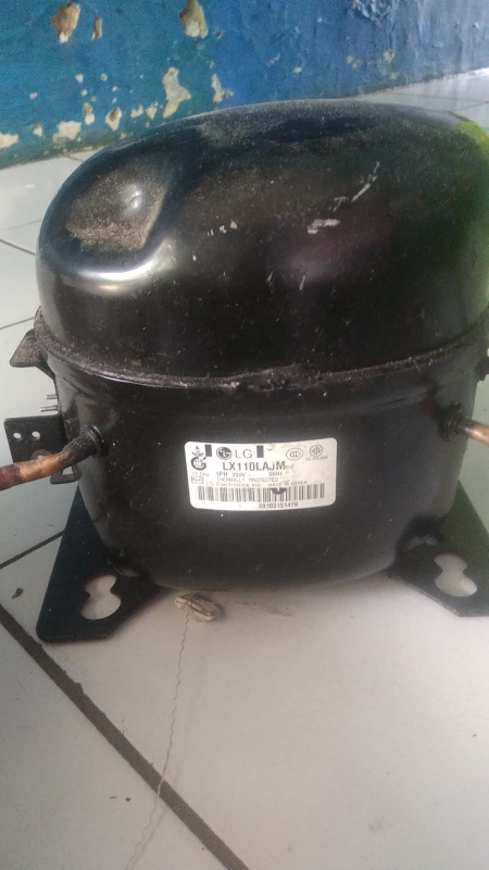 Img 20230511094958