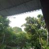 Thumb img 20230602 074455 959454851372679132