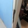 Thumb img 4207