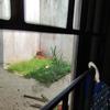 Thumb img 20230812 113647 2093549218656267575