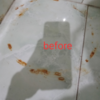 Sejasa.com