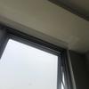 Thumb img 8496