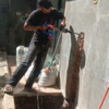 Sejasa.com