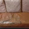 Thumb img 20240127 194131