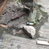 Thumb img 20240221 wa0009