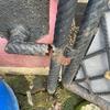 Thumb img 20240221 wa0016