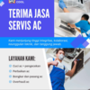 Sejasa.com