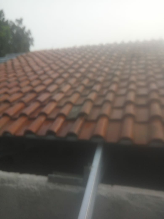 Img 20240527080325
