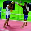Sejasa.com