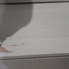 Thumb d8b9babb 0dc8 4609 b2fa 871300d7d496