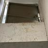 Thumb img 20241230 wa0053 1 