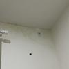 Thumb img 7025
