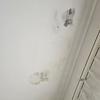 Thumb img 20250202 101542 3718286118575968065