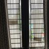 Thumb img 0807