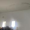 Thumb img 1954