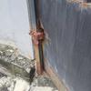 Thumb img 20250312 wa0029