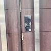 Thumb img 4281