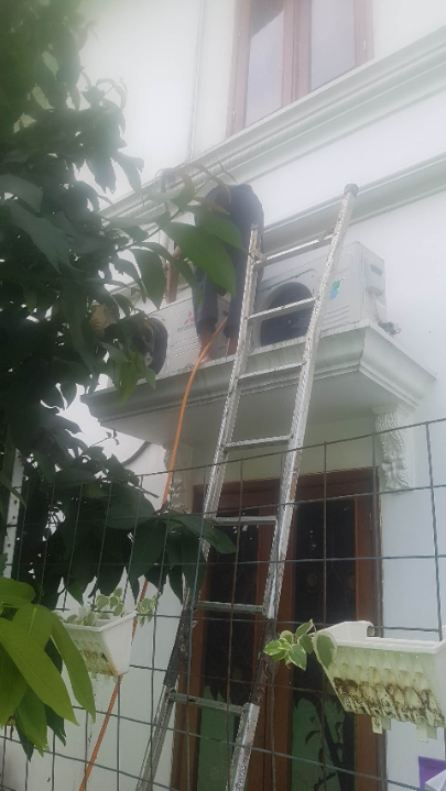 Img 20250511052142