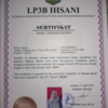 Sejasa.com
