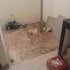 Thumb img 20250516 wa0134