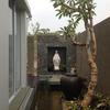 Sejasa.com