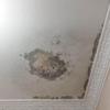 Thumb img 4417