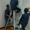 Sejasa.com