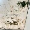 Thumb img 20250707 wa0001