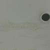 Thumb img 20250707 wa0038