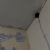 Thumb img 2474