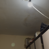Thumb img 2475