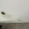 Thumb img 9567