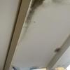 Thumb img 8548