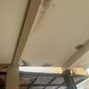 Thumb img 8547