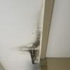 Thumb img 8544