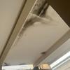 Thumb img 8543