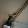 Thumb img 8542