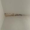 Thumb img 3933
