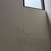 Thumb img 20260128 100500 8314008252093150772