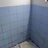 Thumb img 20260210 062646