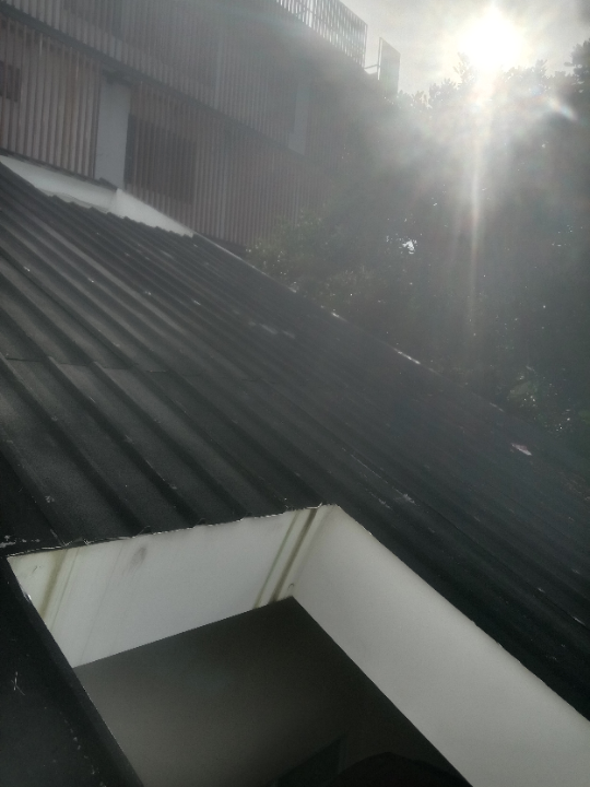 Img 20260227065718