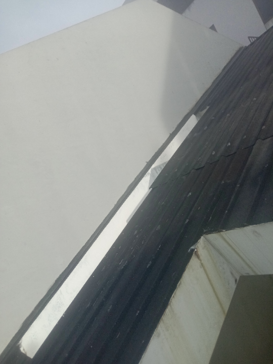 Img 20260227065730