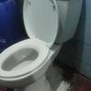 Thumb img 20260227 wa0014