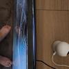 Thumb img 20260320 wa0035
