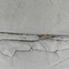 Thumb whatsapp image 2026 04 06 at 12.10.01